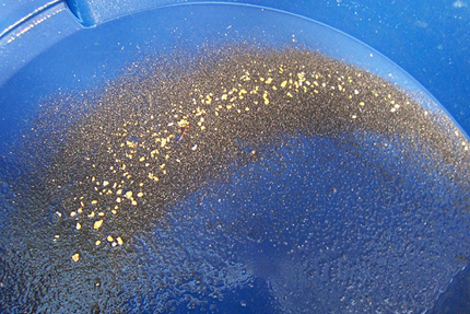 Grains of gold in pan, just collected from a river.