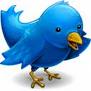Twitter bluebird